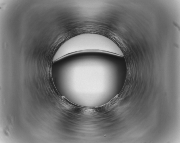 X0000095510333200712140940