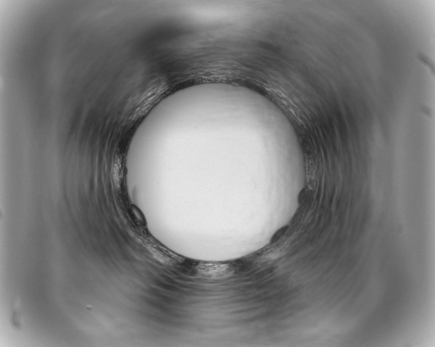 X0000095510334200712140940
