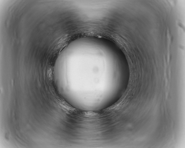X0000095510336200712140940