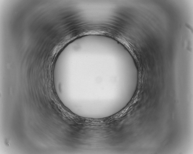 X0000095510337200712140939