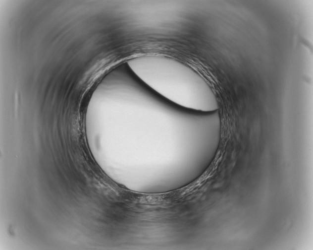 X0000095510338200712140939