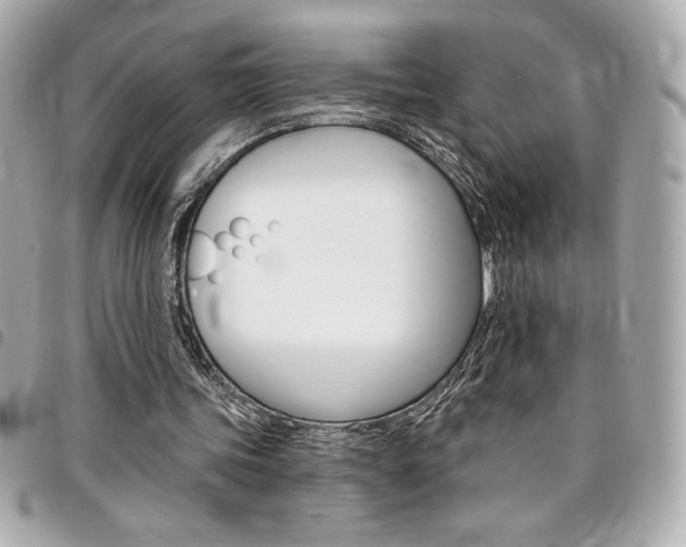X0000095510339200712140939