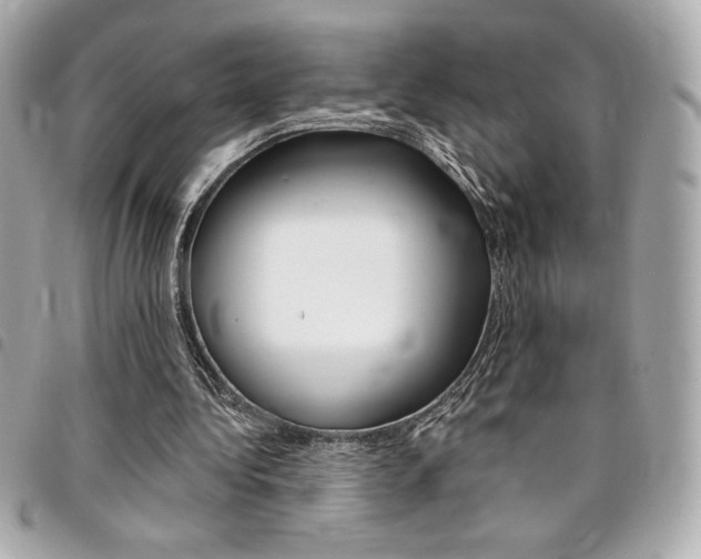 X0000095510340200712140939