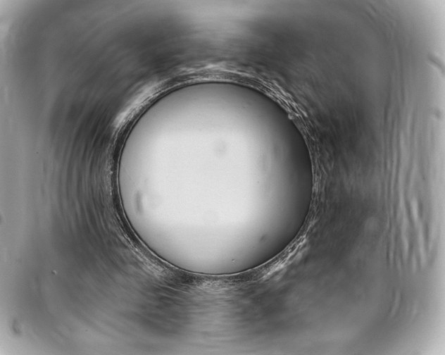 X0000095510341200712140939