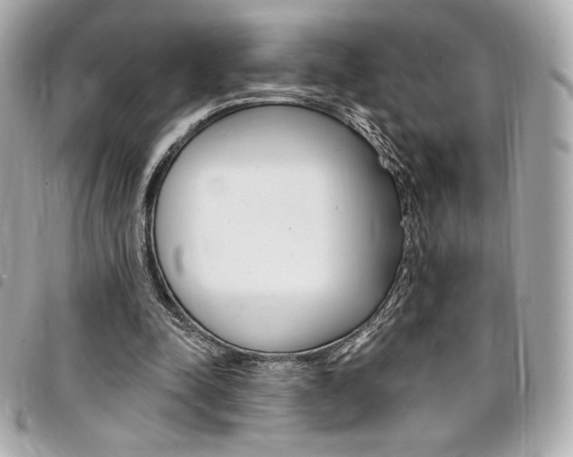 X0000095510342200712140939
