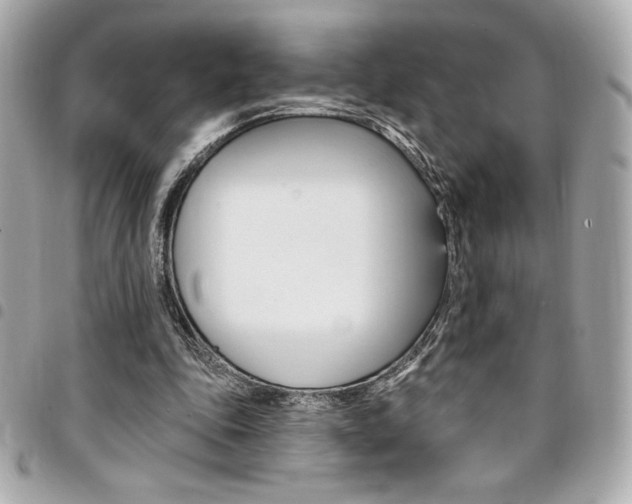 X0000095510343200712140939