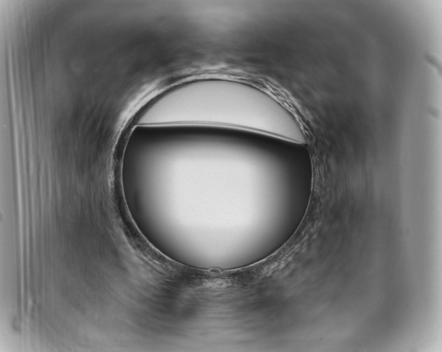 X0000095510344200712140939