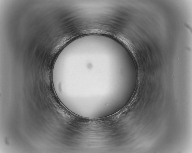 X0000095510345200712140939