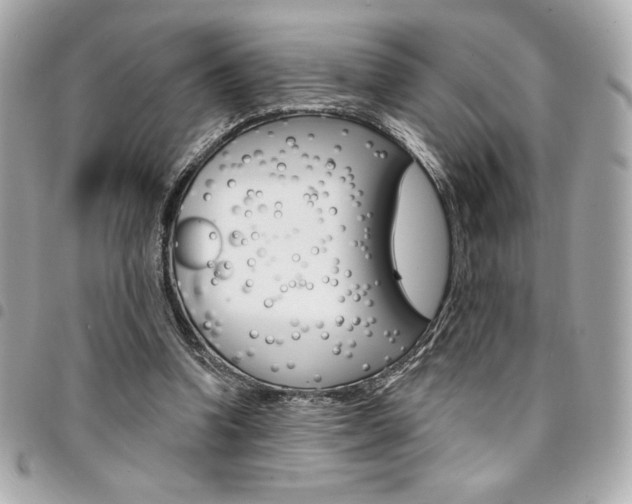 X0000095510346200712140939