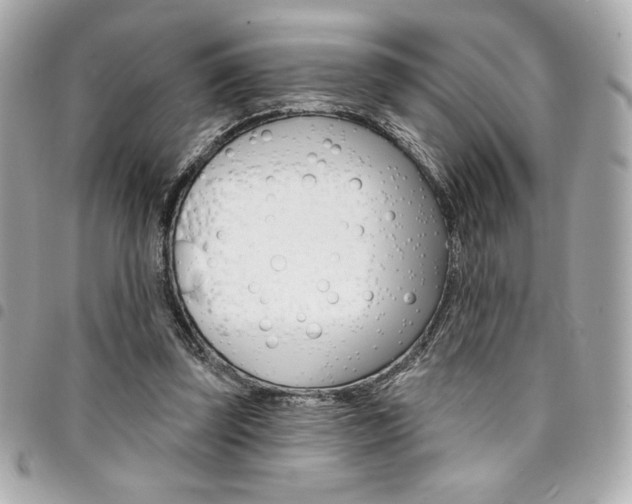X0000095510347200712140939