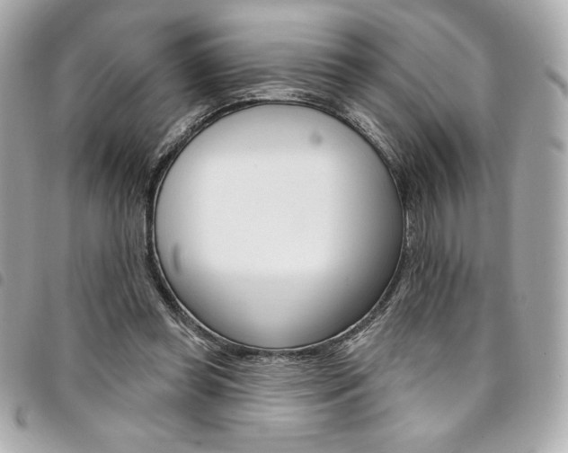 X0000095510349200712140939