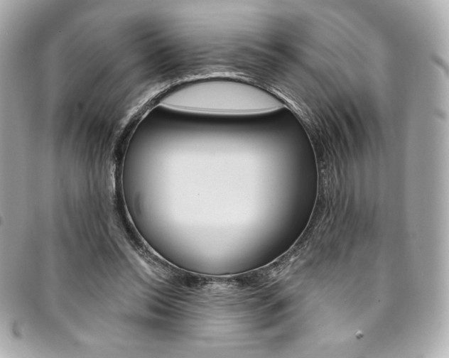 X0000095510350200712140939