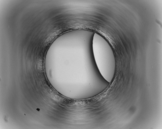 X0000095510353200712140939