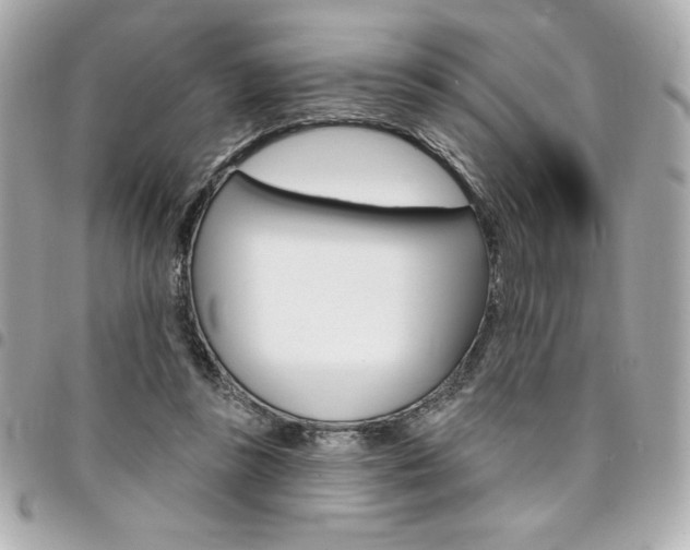 X0000095510355200712140939