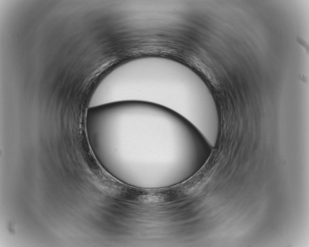 X0000095510356200712140939