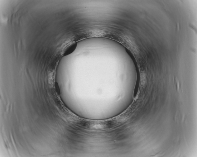 X0000095510360200712140939