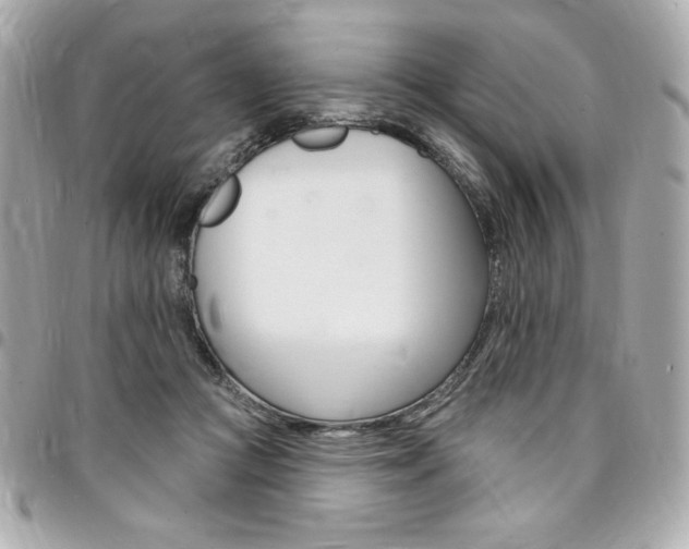 X0000095510361200712140939