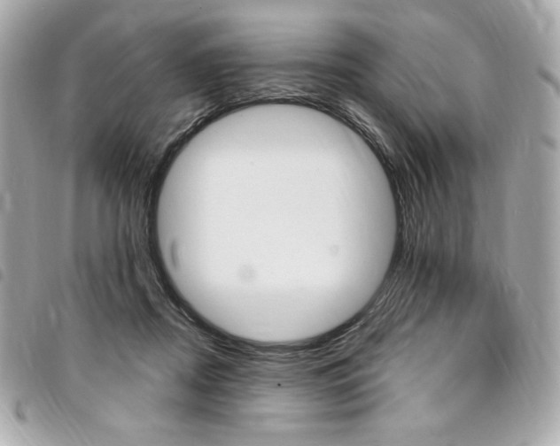 X0000095510362200712140940