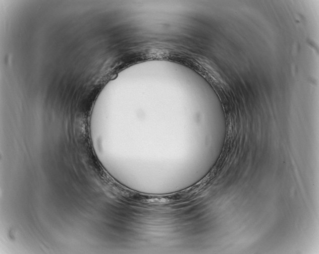 X0000095510363200712140940