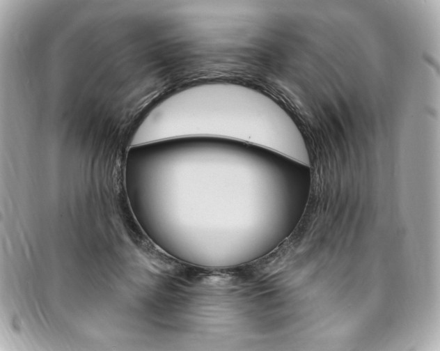 X0000095510364200712140940