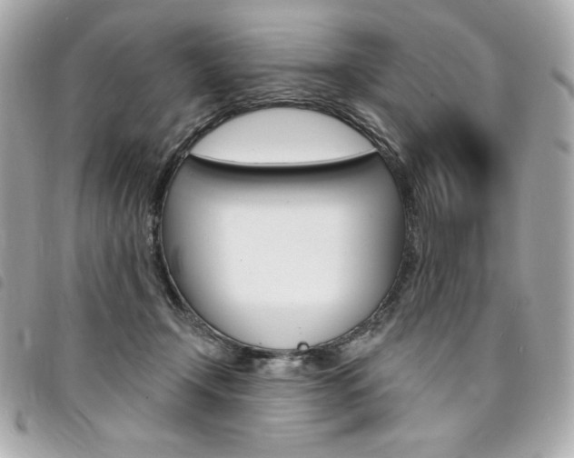 X0000095510366200712140940