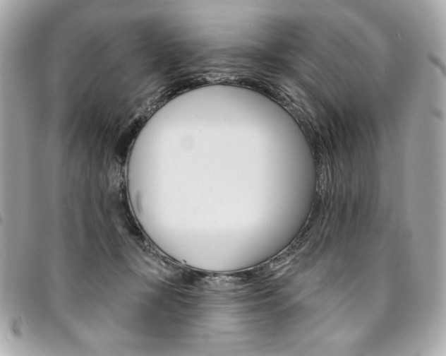X0000095510367200712140940