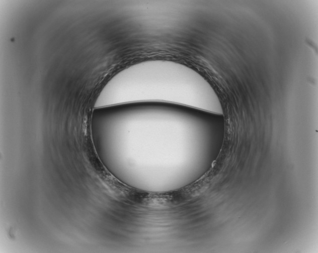 X0000095510368200712140940