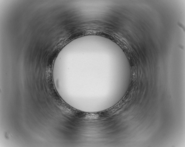 X0000095510369200712140940