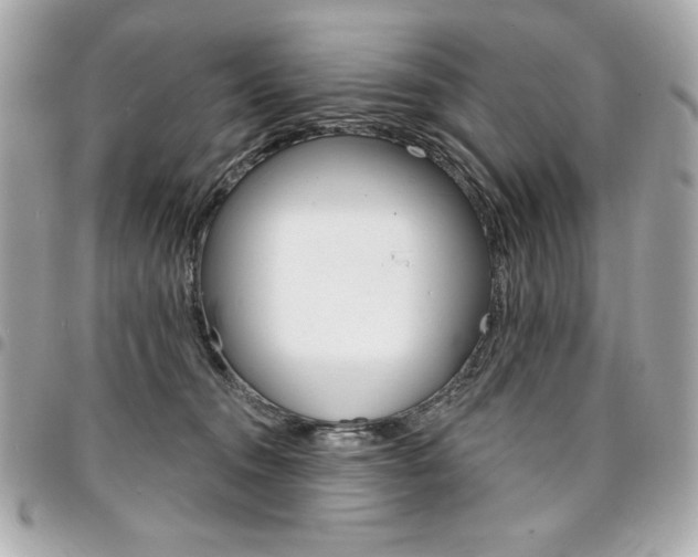 X0000095510372200712140940