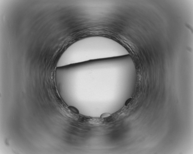 X0000095510373200712140940