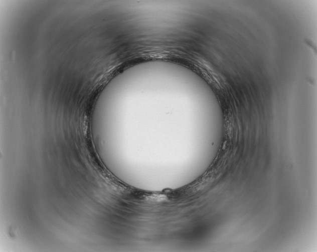 X0000095510374200712140940