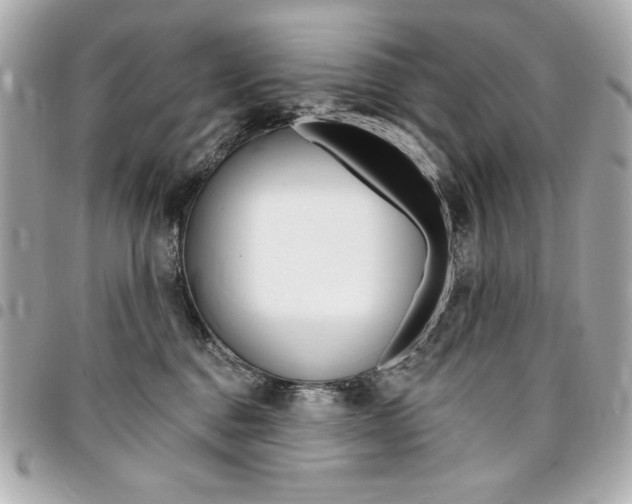 X0000095510376200712140940