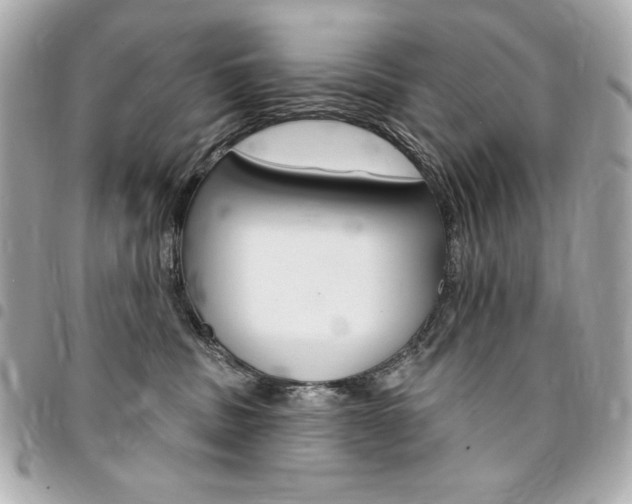 X0000095510379200712140940