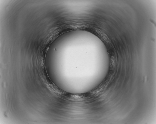 X0000095510380200712140940