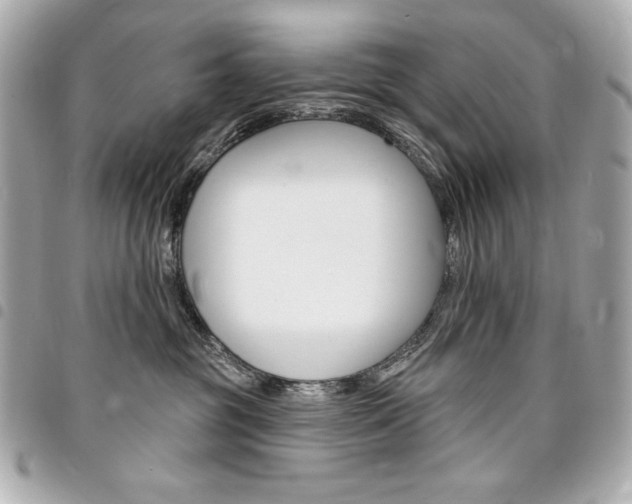 X0000095510381200712140940