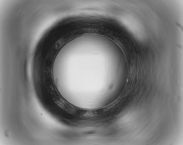 X0000095510383200712140940
