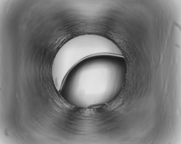 X0000095510384200712140940