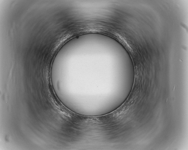 X0000095510386200712140939