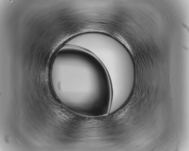 X0000095510387200712140939