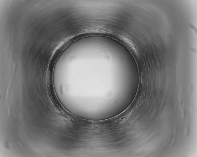 X0000095510388200712140939