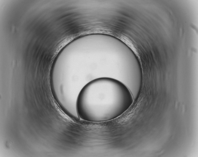 X0000095510389200712140939