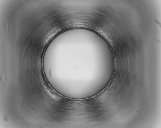 X0000095510390200712140939