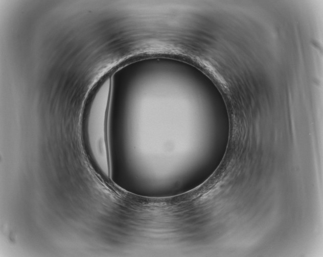 X0000095510391200712140939