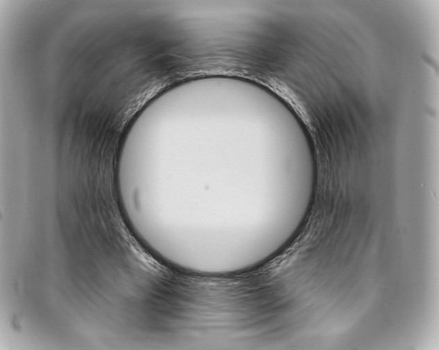 X0000095510393200712140939