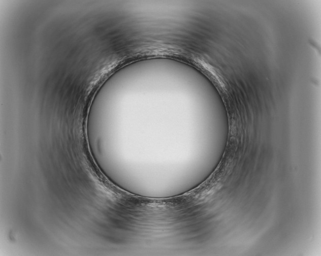X0000095510394200712140939