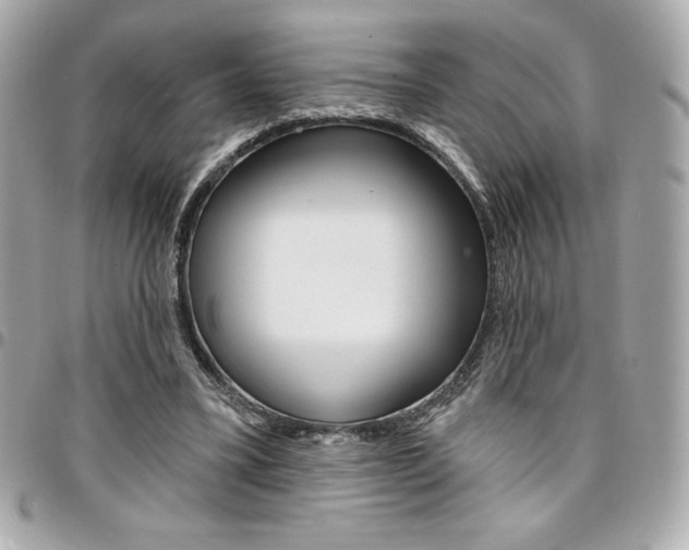 X0000095510395200712140939