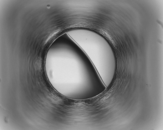 X0000095510396200712140939