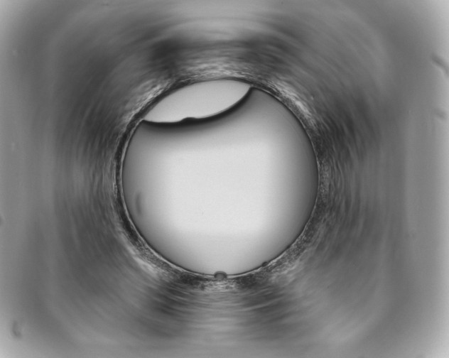 X0000095510398200712140939