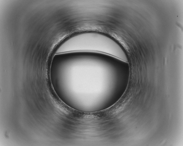 X0000095510399200712140939