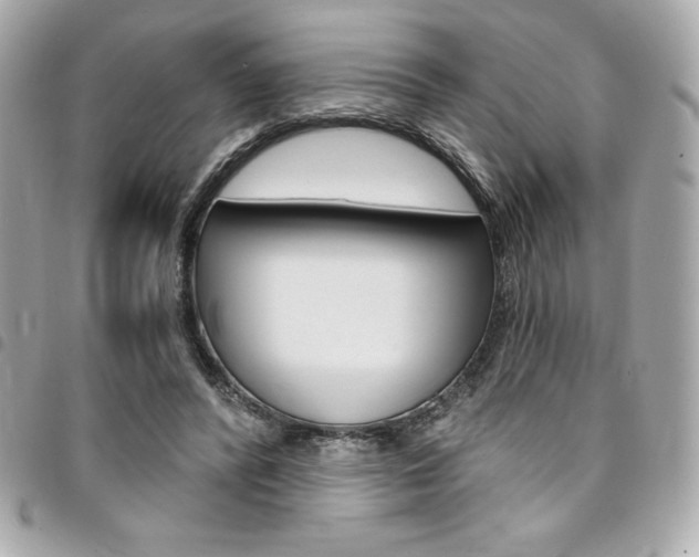 X0000095510400200712140939